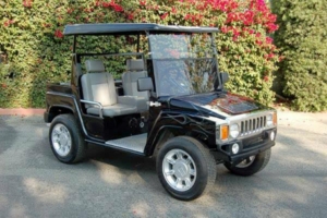 affordable golf cart rental, golf cart rent irvine golf cart rental